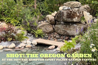 Shot! The Oregon Garden at the 2024 RHS Hampton Court Palace Garden Festival