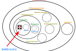 Know thy genetic enemy: The strategy of the coronavirus