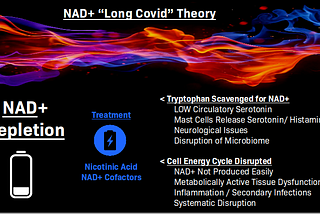 The Team of Front-line Doctors and Biohackers Who Seem to Have Solved “Long Covid”