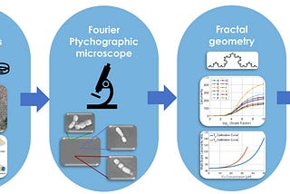 Microalgae Sentinels: A Biodetection Tool for Heavy Metal Contamination in Water