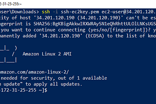 How to access AWS EC2 instance with SSH using Powershell from Windows OS.