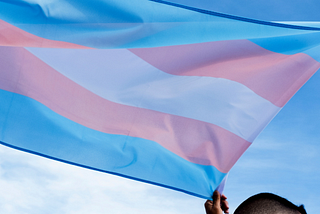 On Transgender Day of Visibility, We Cannot Allow This Administration to Erase Us