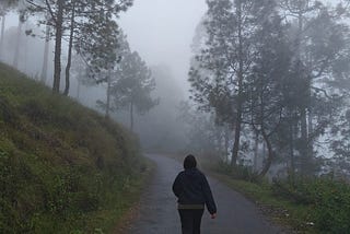 Mountains, Me and My Into The Wild Moments- Travel Musings