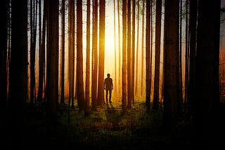 sunlight through densely packed trees with the creepy figure of a man stood between the trees