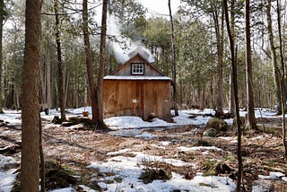 A cozy cabin in the woods, blanketed by snow, with a peaceful winter scene of trees and white ground surrounding it
