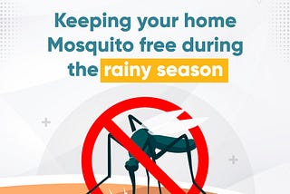 Keeping Your Home Mosquito-Free During The Rainy Season.