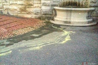 A river of yellow pollen flows down a sidewalk