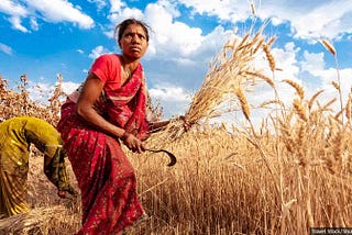 Women in agriculture: Feminised workforce, masculine land rights