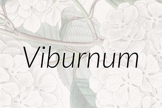 Viburnum