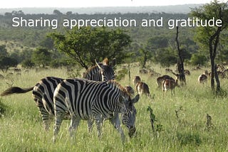 Zebras eating with impalas in the background. Text: sharing appreciation and gratitude.