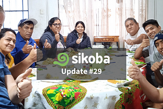 Sikoba — Update #29
