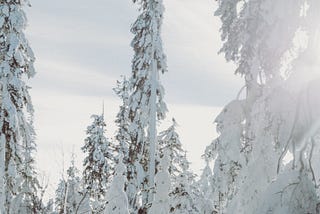 Photo of man in snow surrounded by trees with sun shining down in cloudy winter weather. Photo on Dr. James Goydos 2021 article on sunburn in winter.