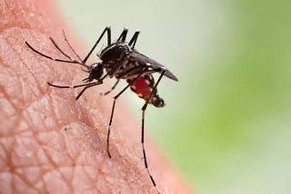 Battling the Bite: Malaria's Threat in Nigeria