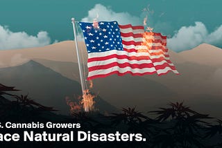 U.S. Cannabis Growers Face Natural Disasters