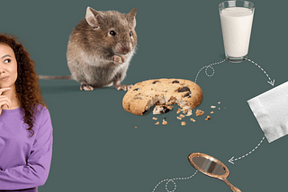 When You Give a Mouse a Cookie