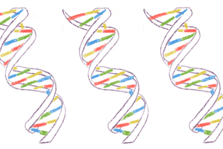 Heeft het CDC de PCR-test afgeschaft?