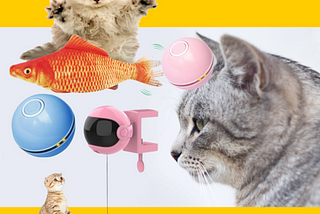 Best Toys For Cats in 2021