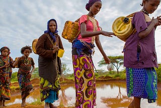 The Gender Dimensions of Climate Change in Developing Countries