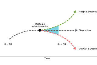 Product Story: Navigating the Strategic Inflection Point — Recognizing, Responding, and Reinventing