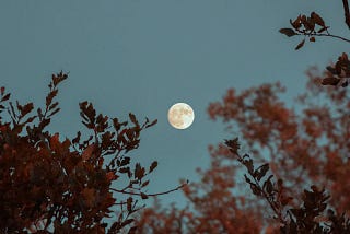 How Does Love Arrive? A Lover’s Fable, as Told by the Moon