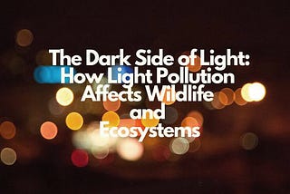 Nature’s Silent SOS: The Unseen Threat of Festive Lights