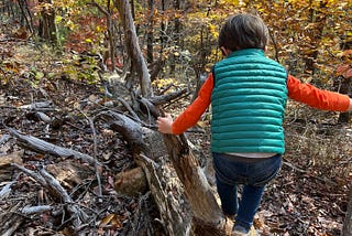 South Carolina Should Follow Experts’ Advice on Elementary School Recess Allotments