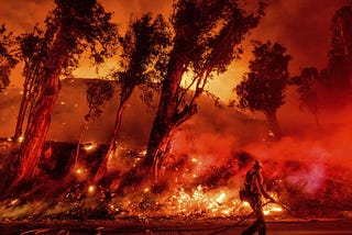 How to prepare for wildfires