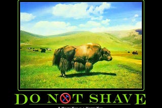 Don’t Shave that Yak!