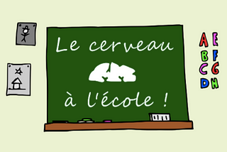 Le cerveau a-t-il sa place à l’école ?