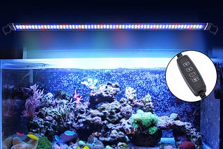 How to DIY A Fish Tank Lighting System with LED Strips