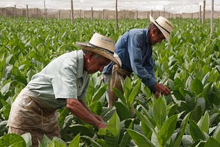 La política actual de Trump no favorece el comercio agrícola entre Cuba y EE.UU.