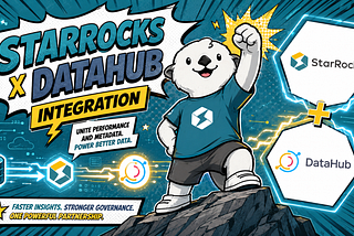 Make Your StarRocks Metadata Discoverable with DataHub