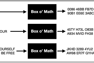 Doing the Math on Solana NFTs