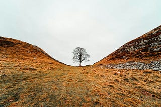 Sycamore Gap