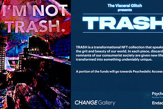 Discover TRASH by The Visceral Glitch