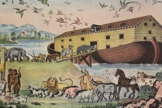 We now have a $FUND Main-Net — Here are the Next Steps.