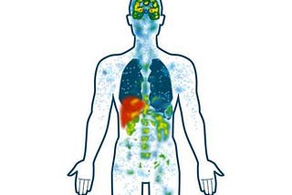 The Endocannabinoid System and the Human Body