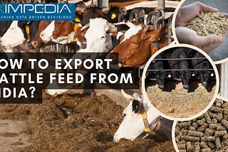 How to Export Cattle Feed from India?