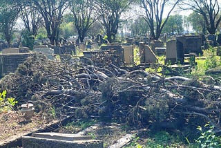 ANC-EFF Ekurhuleni govt. leaves Geduld Cemetery to decay