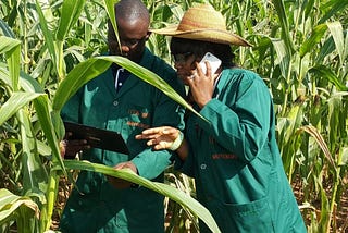 ADOPTION OF MOBILE PHONES CAN PROVIDE YOUTH WITH AGRICULTURE MARKET ACCESS