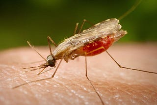 WHO ambition to reduce malaria case incidence by at least 90% in 2030