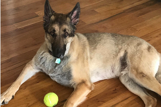 Ajax with tennis ball