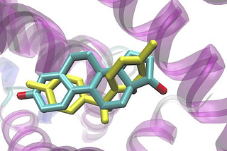 Did Petrochemicals Cause the Diabetes Epidemic?