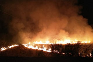 How to solve pollution due to crop burning in India