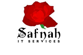 The Best Web Hosting in Erbil Safnah IT Services