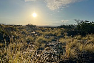 The Coup Before the Coup: