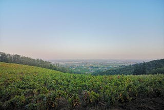 This is What I Wish More People Knew About These 5 Famous French Wine Regions