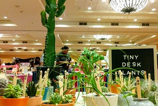 Tiny Desk Plants: A Local Central Valley Small Business, Shares Their Love of Plants with Others