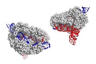 A look into CasX, a promising Cas9 alternative