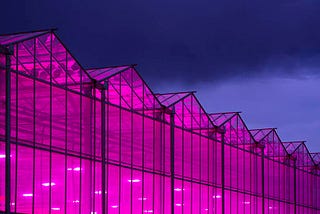 Experience the excellence of Copperstate Farms: A tour of Arizona’s leading cannabis company
